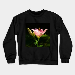 Pink Scented Lily under the apple tree. Crewneck Sweatshirt